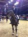 Ein fantastischer 6. Platz fr Marc und Baccarat beim Longines Grand Prix in Hong Kong